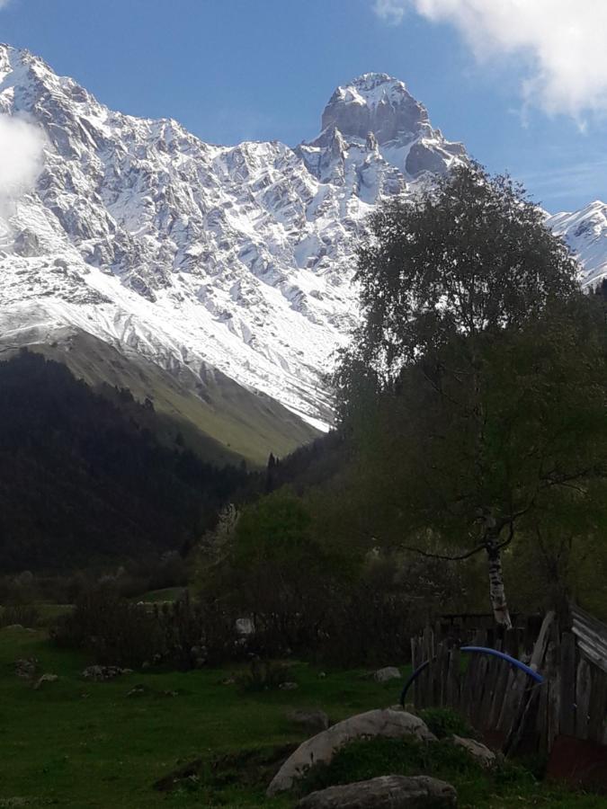 Peak Mazeri Guest House Room photo